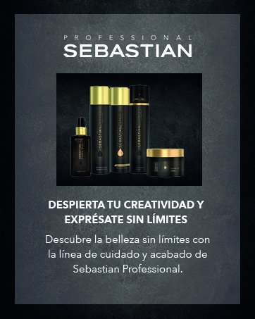 About Professional Sebastian