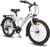 Bicicleta Infantil Hiland Rocket de 20 Pulgadas para niños a Partir de 7,8,9,10 años, con 6 Marchas Shimano Twist Grip Shift, iluminación según STVO, portaequipajes, Soporte de Aluminio…