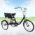 Lightakai Triciclo para adultos de 20 pulgadas, 1 marcha, 3 ruedas, altura ajustable, con asiento infantil y cesta de la compra plegable, color negro