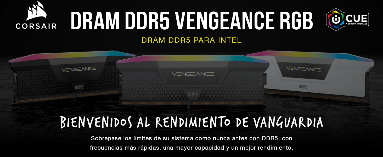 DDR5 DRAM, DDR5, Memoria DDR5