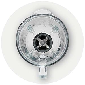 Oster Blender
