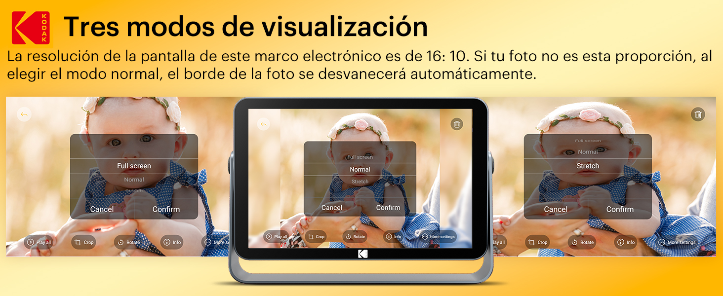 digital photo frame