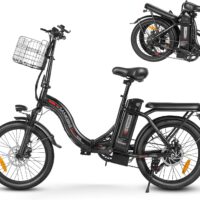 SAMEBIKE Bici Eléctrica para Adultos, 250W Bicicleta Eléctrica Plegable （con Batería Extraíble 36 V/12 Ah,20 Pulgadas de Grasa,Pedal Assist, LCD,máximo de hasta 60-110 km）