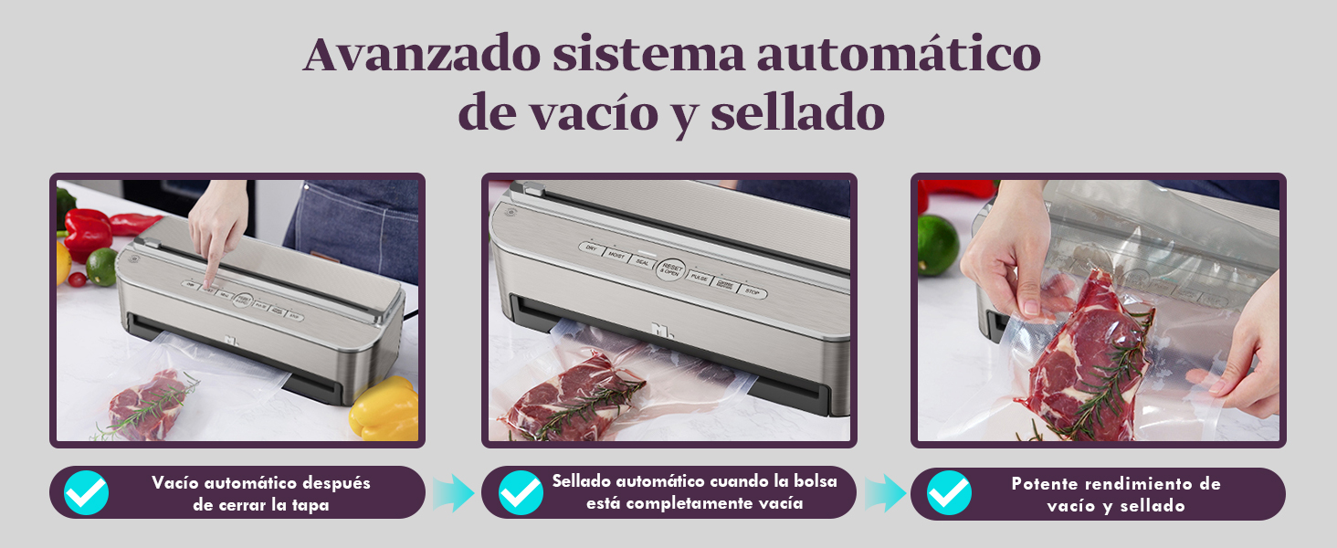 envasadora al vacio domestica