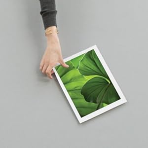 HP Paper