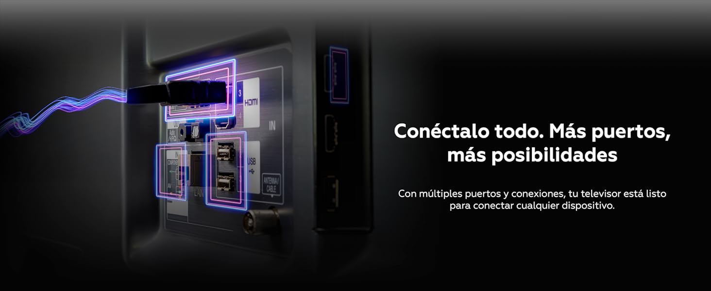 Conexiones