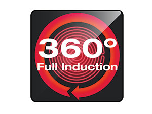 Full induction