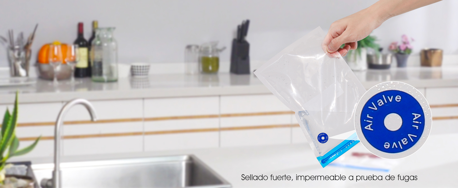 envasadora al vacio domestica embasadoras vacio alimentos