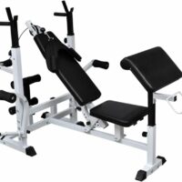Banco de musculación múltiple, LAPOOH Rack Musculación, Banco Abdominales, Banco De Pesas Musculacion, Gimnasio En Casa, Banco Gimnasio, Banco Press Banca