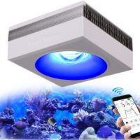 PopBloom RL90 WiFi Luz LED de Acuario Marino 100W, Iluminación Acuario Marino para 40-60cm arrecife Coral Acuario de Peces,APP supporte l'espagnol (1 lámpara con kit para colgar)