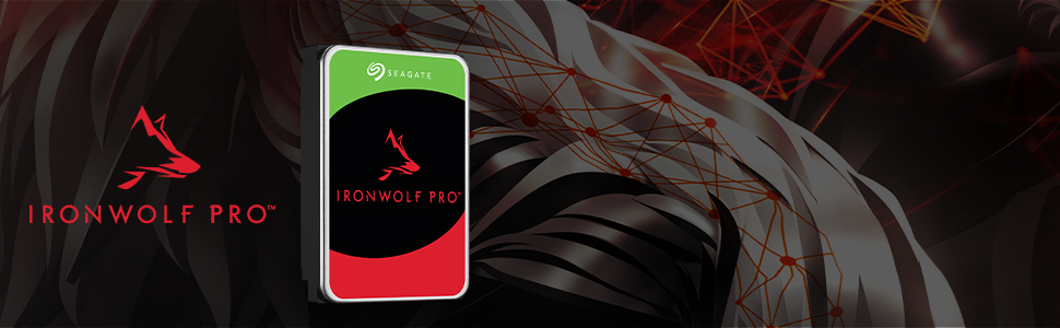 IronWolf Pro
