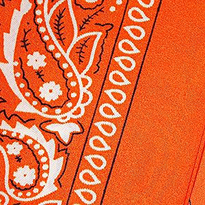 pañuelo rojo cuello