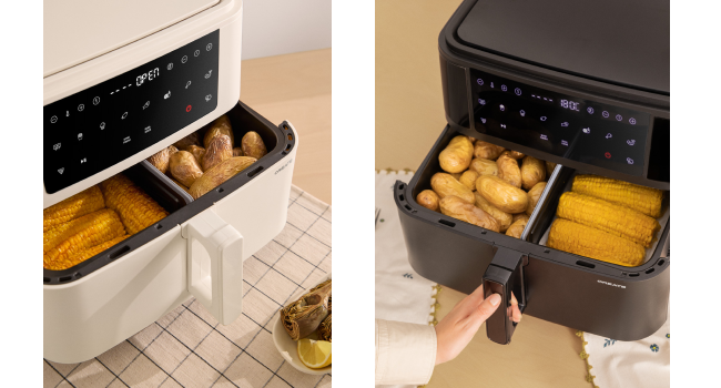 AIR FRYER DUAL
