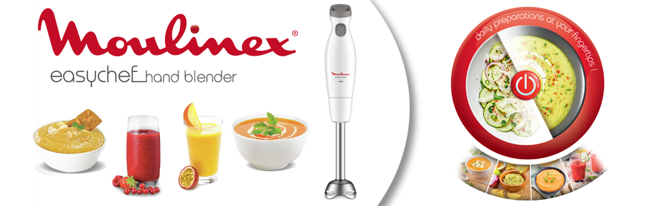 Moulinex Easychef 450 W pie de inox DD4511