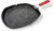 Moneta Pro Grill, Sartén de Inducción con Mango Plegable, Revestimiento Antiadherente y Antiarañazos, Plancha Apta para Todo Tipo de Cocinas, Apta para el Lavavajillas, 28×28 cm