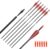 ELONG OUTDOOR 6PCS Flechas de 30 Pulgadas para Arcos compuestos, Flechas de Caza de Carbono para Tiro con Arco Recurve Bows Spine 500 con 100 Puntas de Tornillo de Grano