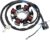 GOOFIT 4 Coil Motocicleta Magneto Estator Bobina Generador de Encendido Accesorios del Motor Reemplazo para Estator Alternador para Ttr230
