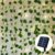 Guirnaldas Luces Exterior Solar, 12m 100 LED Guirnalda de Hiedra Artificial, 8 Modos, Cadena de Luces Impermeable, Decoración para Navidad Festivales Dormitorio Bodas